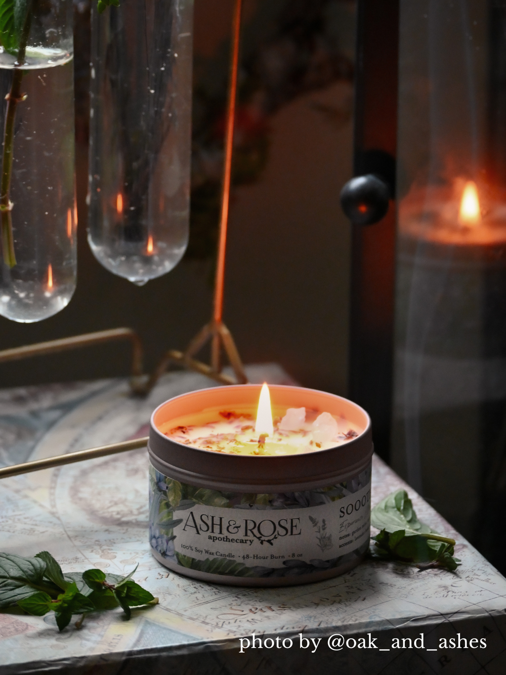 Candle in a container labeled 'ASH & ROSE' on a surface with decorative elements.